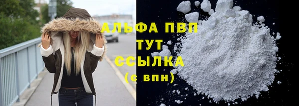 СК Губаха