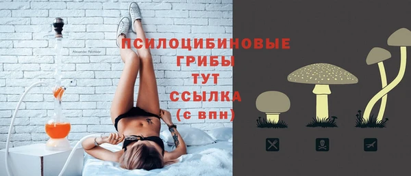 амф Грязи