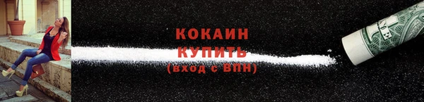 шишки Белоозёрский