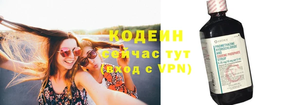 шишки Белоозёрский