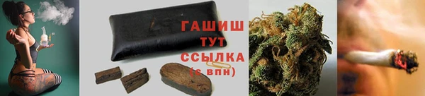 шишки Белоозёрский