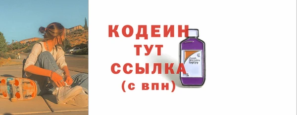 шишки Белоозёрский