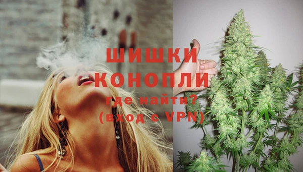 шишки Белоозёрский
