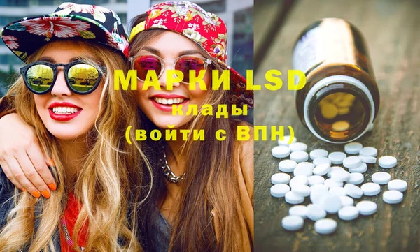 шишки Белоозёрский