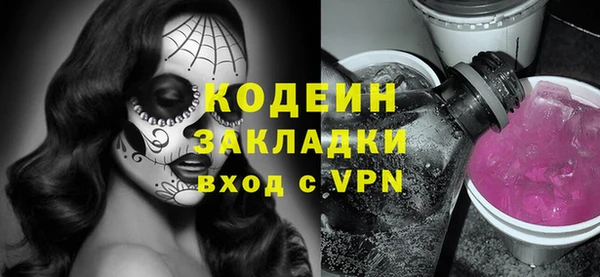 шишки Белоозёрский