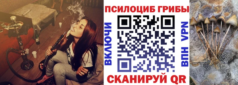 наркошоп  Вуктыл  Галлюциногенные грибы Psilocybe 
